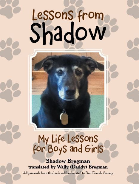'Lessons from Shadow' by Shadow Bregman (translated by Wally Bregman)